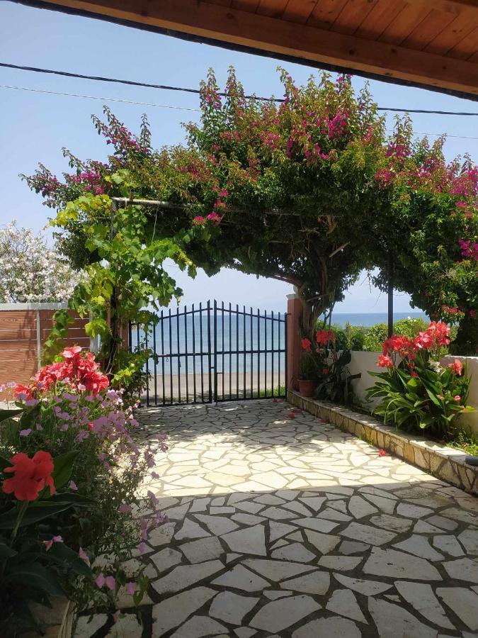 Ampelaki Studios Mpoukaris Dış mekan fotoğraf