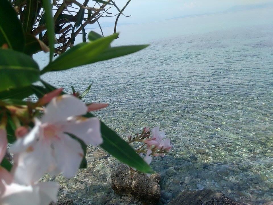Ampelaki Studios Mpoukaris Oda fotoğraf